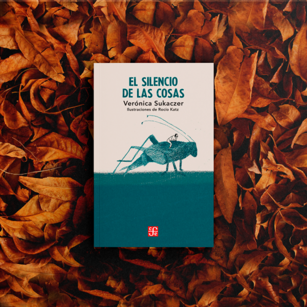 Producto - El silencio de las cosas - Verónica Sukaczer / Rocío Katz