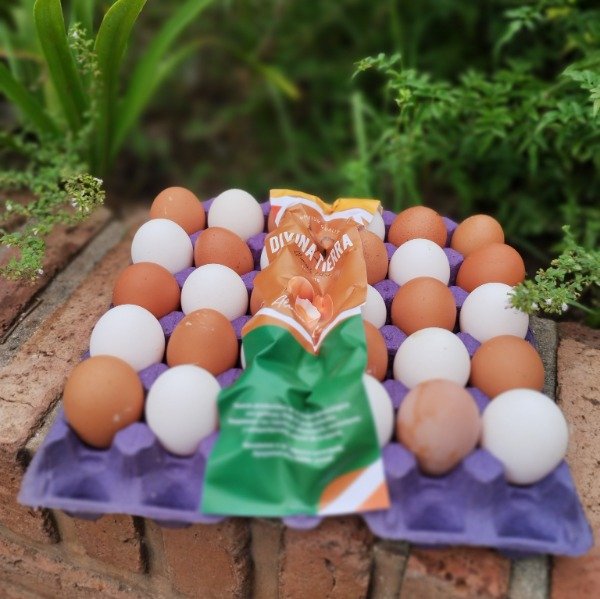Producto - Maple huevos pastoriles Divina Tierra