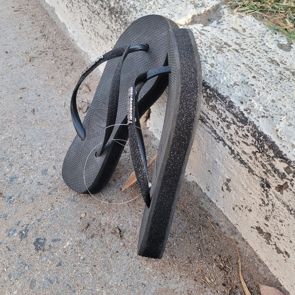 Producto - Ojotas Havaianas Slim Flatform