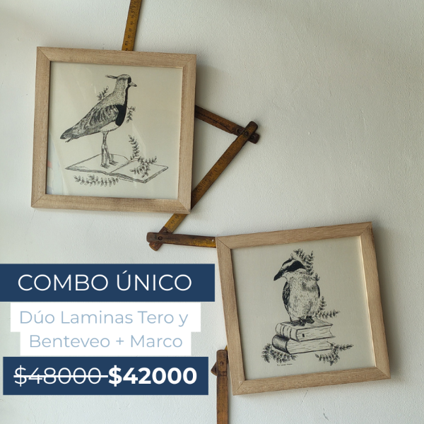Producto - DUO DE CUADROS TERO Y BENTEVEO 20x20