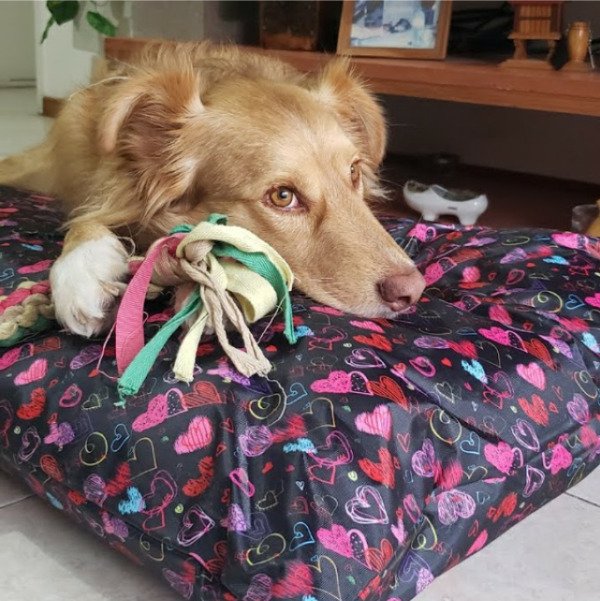 Producto - Fundas antidesgarro aptas lavarropas