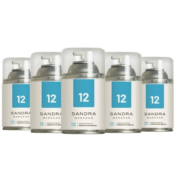 Producto - Aerosol Erba - 12U x 270ml