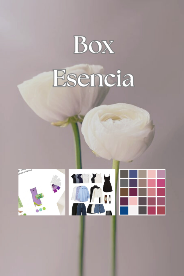 Producto - Box de estilo "Esencia"