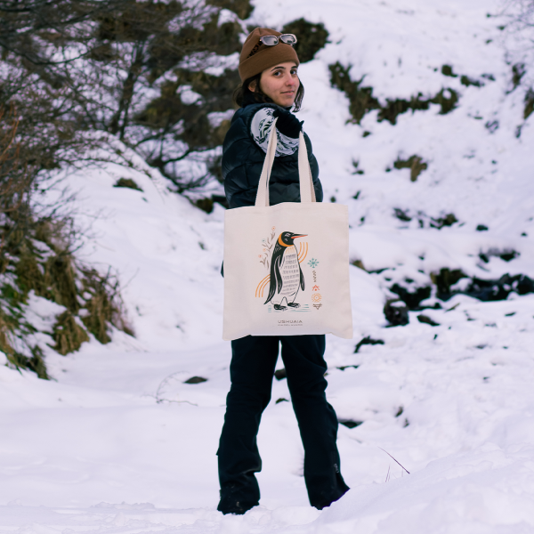 Producto - Bolsa Gabardina Pingüino - 2