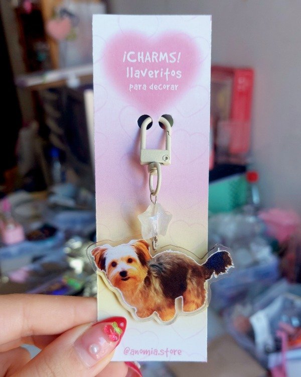 Producto - LLAVERO PERSONALIZADO ACRILICO - MASCOTAS - 1