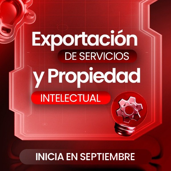 Producto - Exportación de servicios y propiedad intelectual