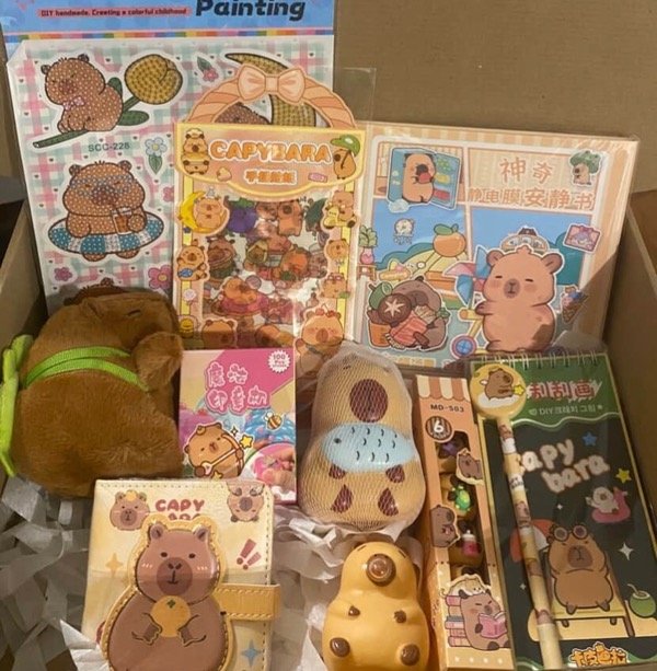 Producto - Power box Capybara