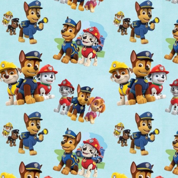 Producto - Paw patrol celeste