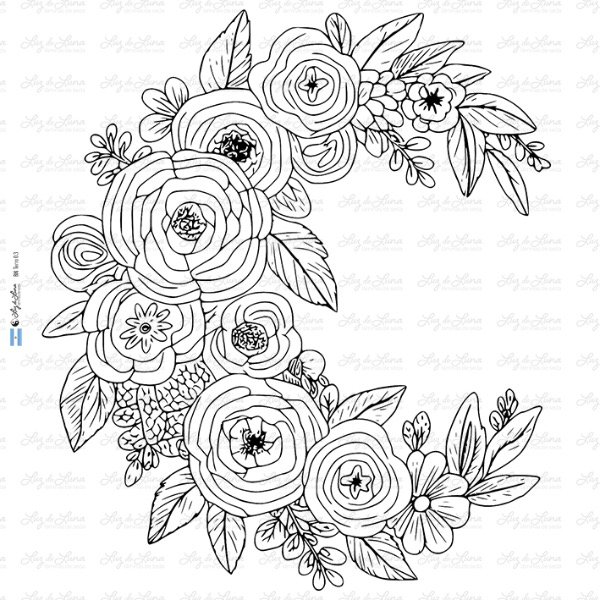 Producto - BM Terra 03