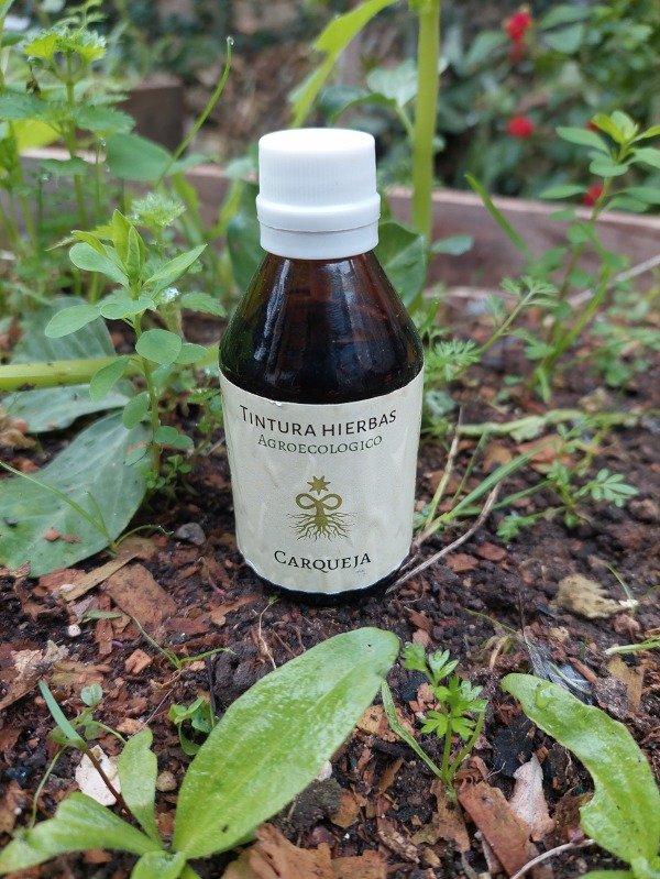 Producto - Tintura madre Carqueja agroecologica