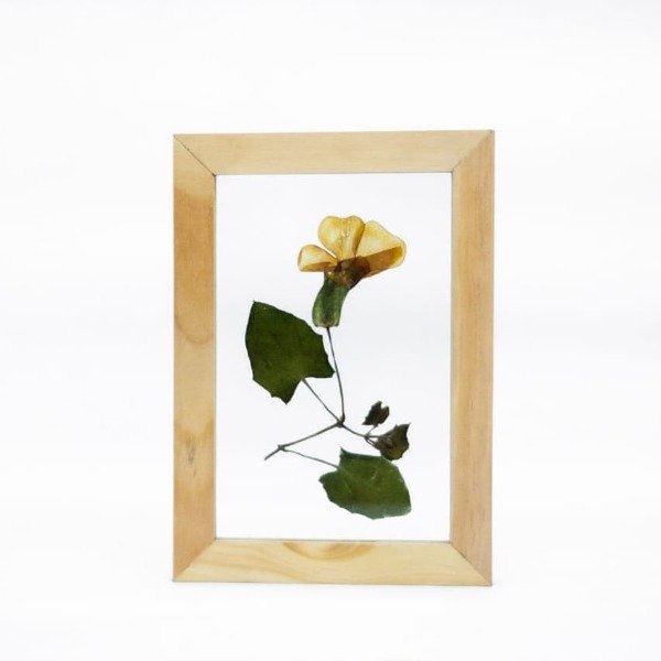 Imagen de producto - 1