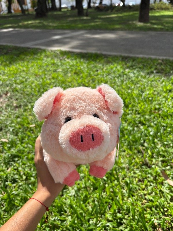 Producto - Peluche Cerdito - 25cm