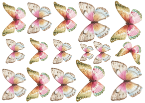 Producto - MARIPOSAS 10 TRANSFERMIXED A4