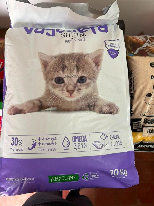 Producto - Vagoneta gato cachorro