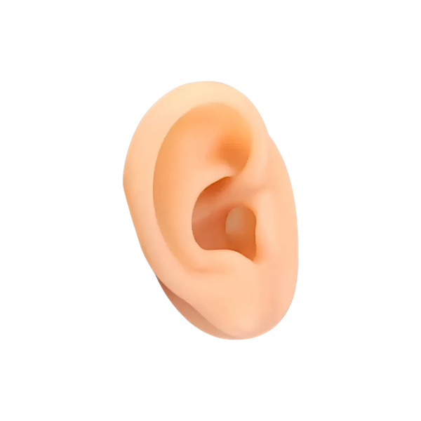 Producto - OREJA SILICONA IZQ/DER