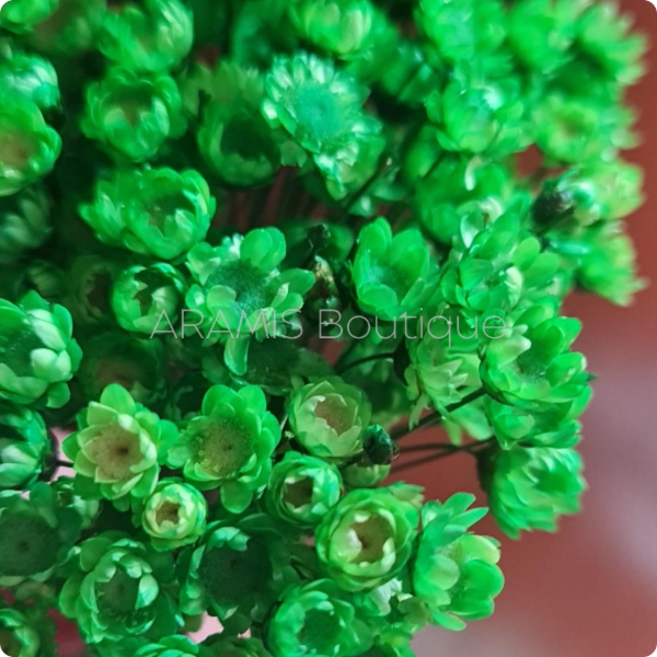 Producto - Diamantina verde