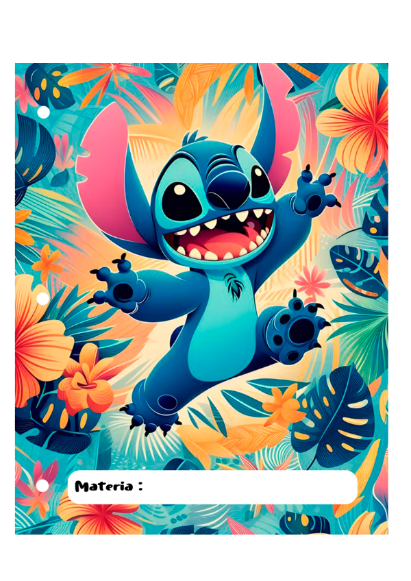 Producto - Stitch