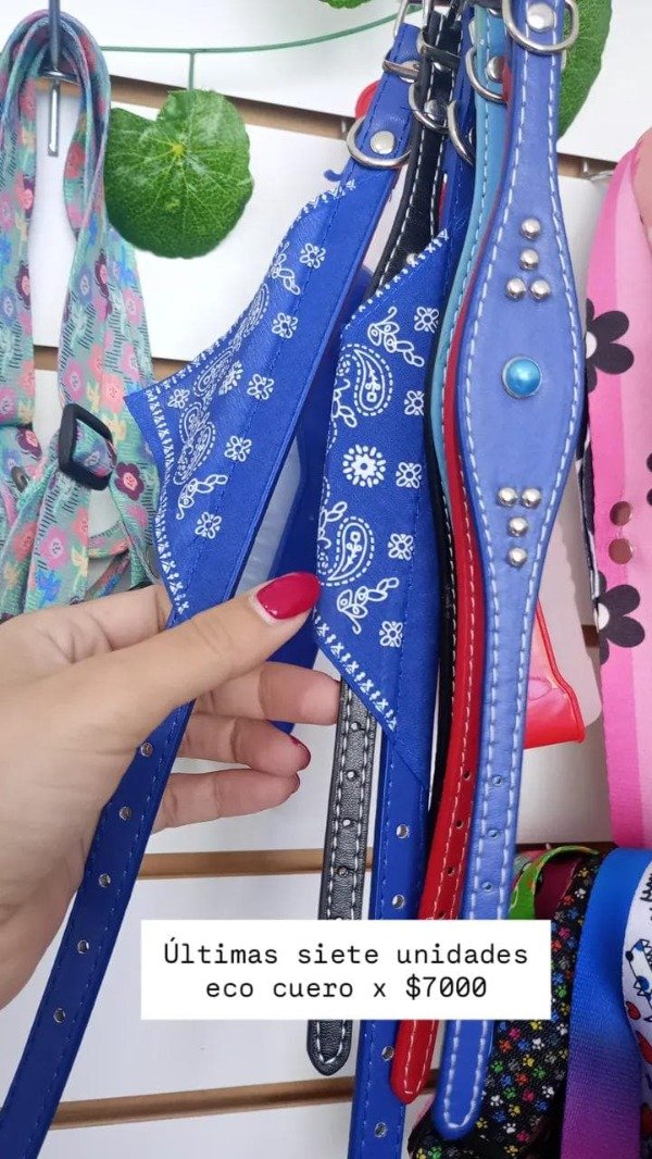 Producto - pack de collares sueltos