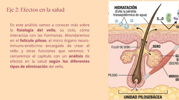 Producto - Taller Depilación Consciente - 3
