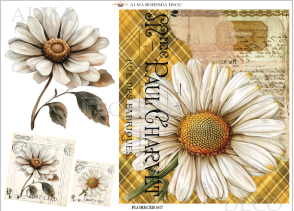 Producto - TRANSFER ALMA BOHEMIA FLOR067