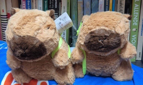 Miniatura de producto - 7