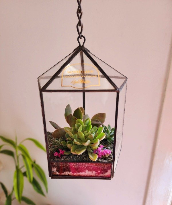 Producto - Terrario Carrousel colgante