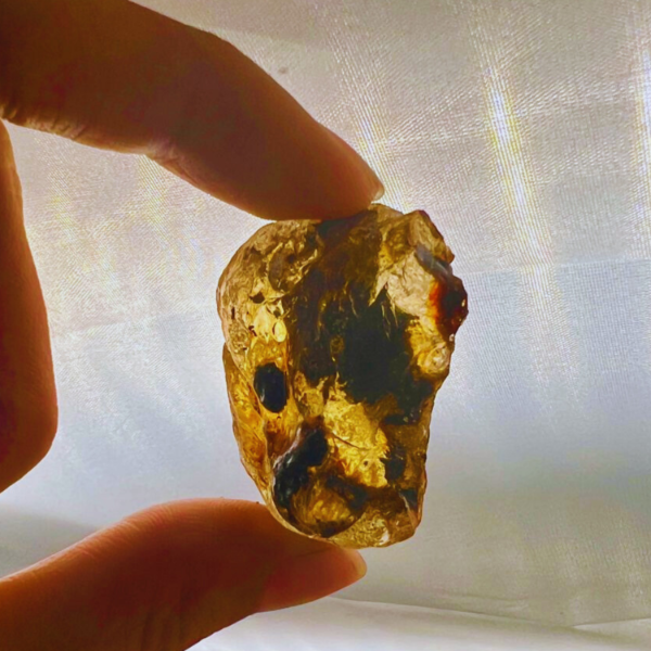 Producto - Ambar de Sumatra 04