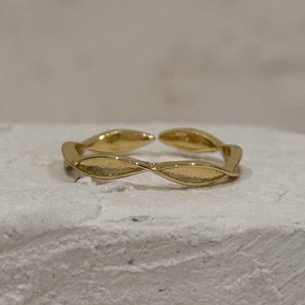 Producto - Anillo fish AD