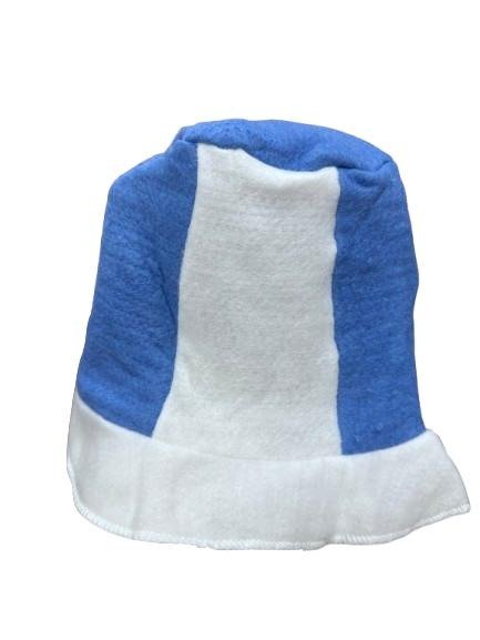 Producto - Gorro paño argentina x1