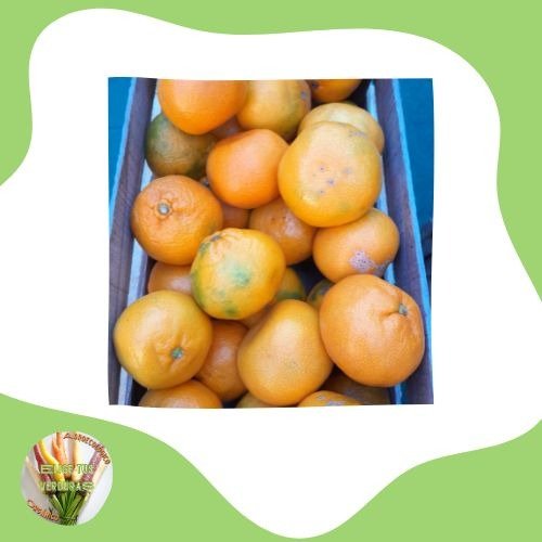 Producto - Mandarina - 1kg