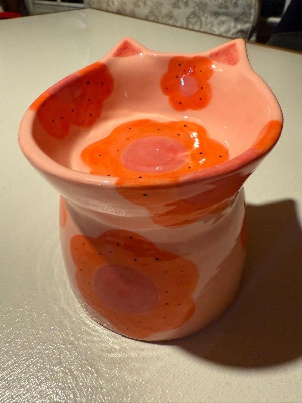 Producto - COMEDERO FLORES NARANJAS FONDO CORAL PASTEL