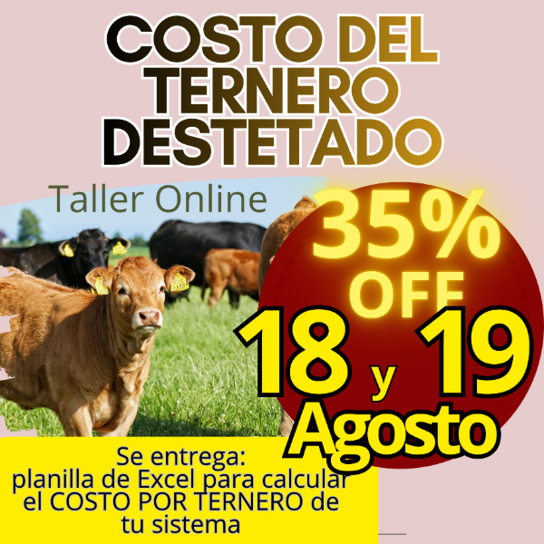 Producto - Taller Online: Costo del Ternero