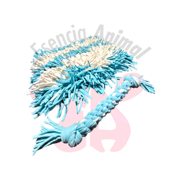 Producto - Combo Argentina