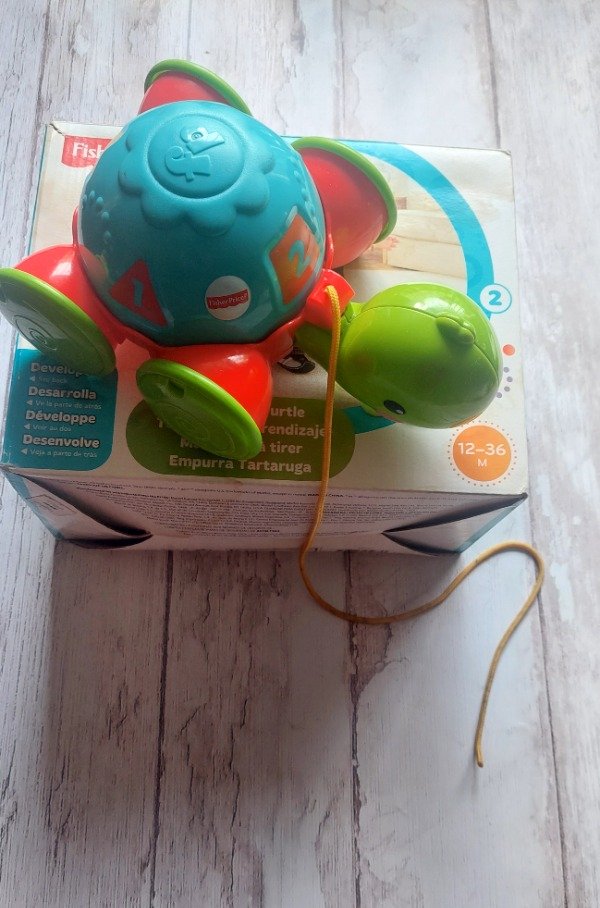 Producto - TORTUGA FISHER PRICE