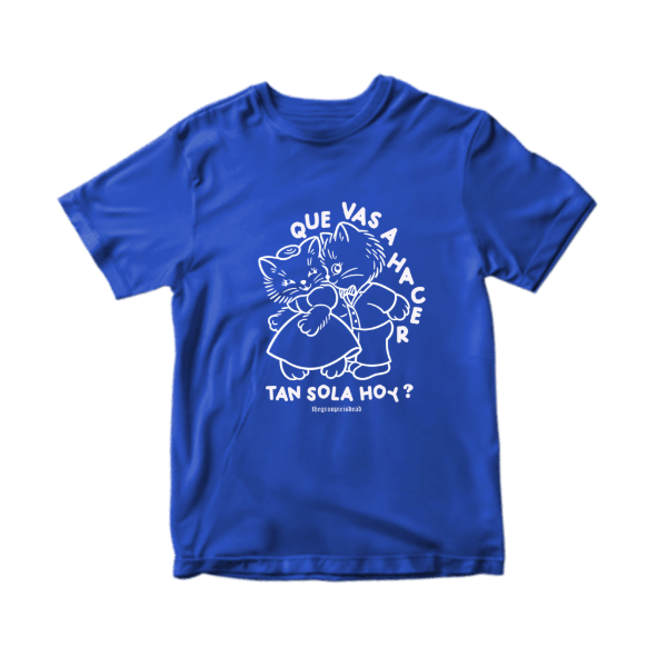 Producto - Remera Gatitos