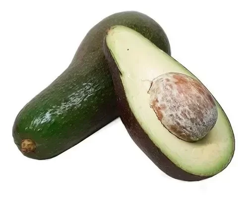 Producto - Planta de Palta "Torres"