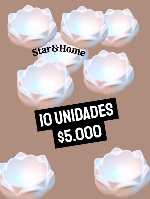 Producto - Lotos x 10