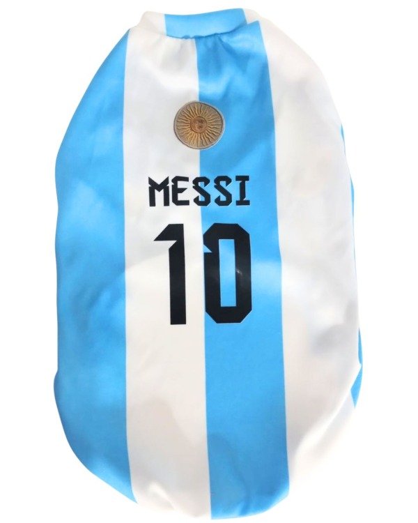 Producto - Camiseta Argentina Mundial 2026