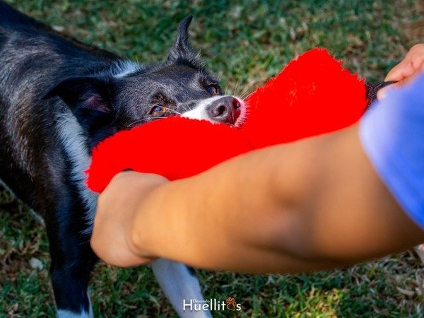 Miniatura de producto - 2