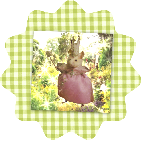 Producto - Print - Hadita