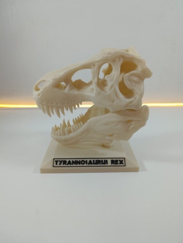 Producto - Cráneo de T-Rex - Tamaño Chico con base (color fósil)