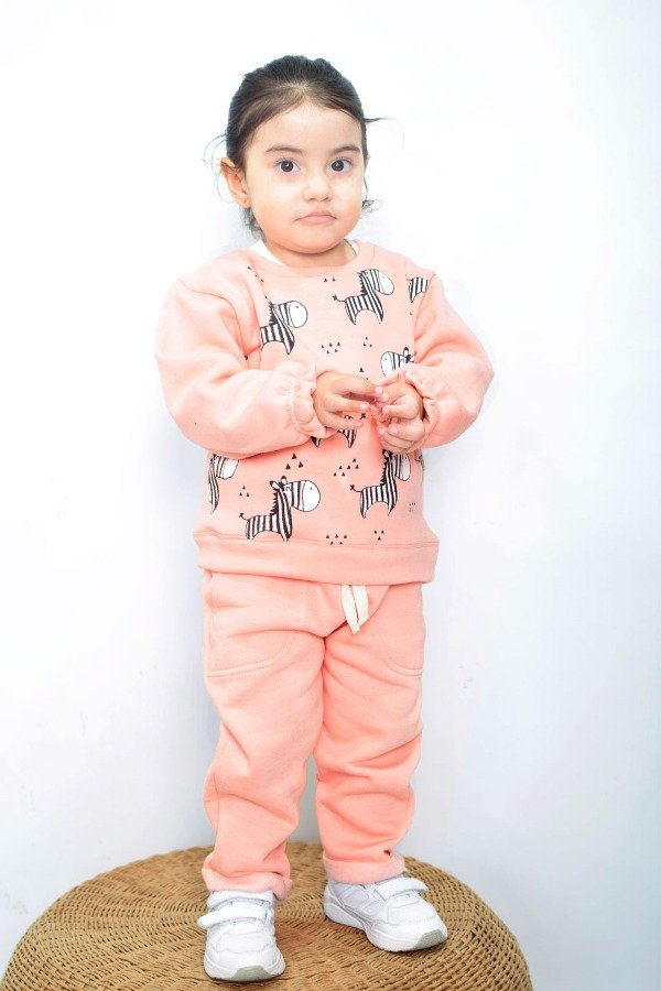 Producto - ARTICULO 541 -E- BUZOS JOGGING BEBA ESTAMPA CEBRAS