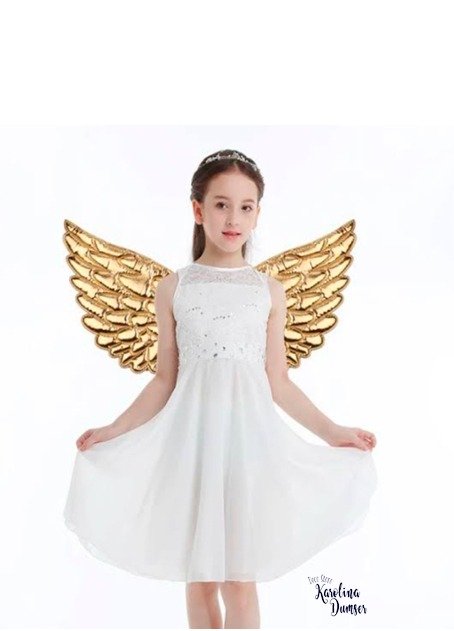 Producto - Alas de Ángel Inflable Colores Metalizados - 0