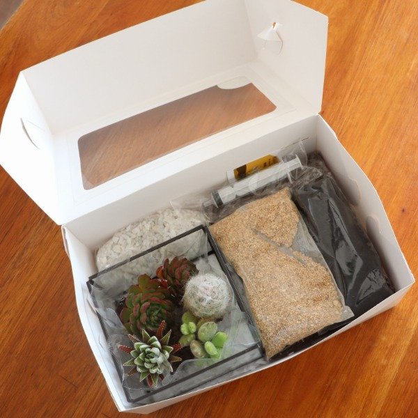 Producto - BOX CUADRADO