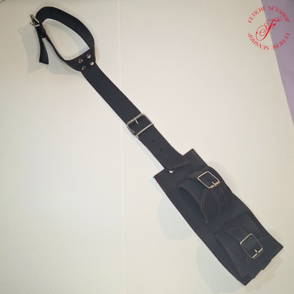 Producto - Collar inmovilizador