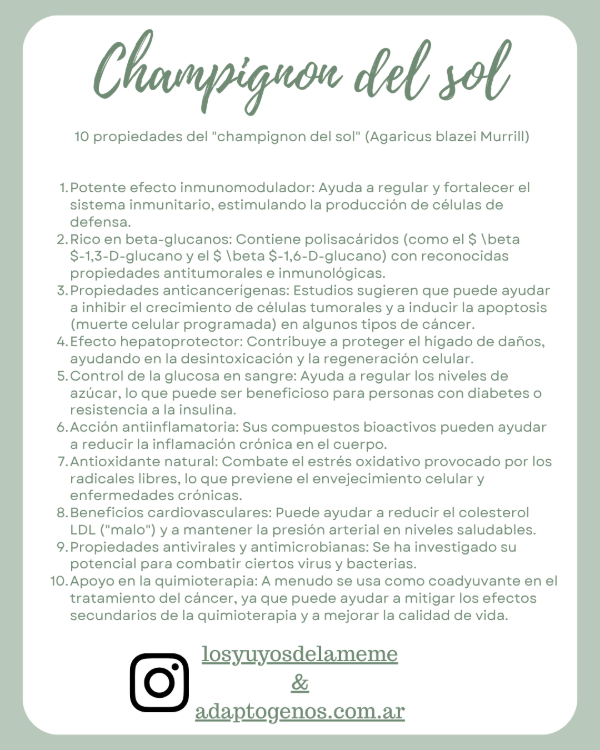 Miniatura de producto - 10