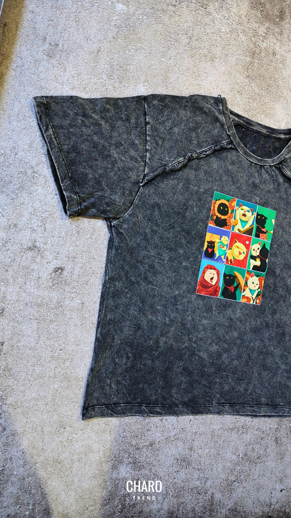 Producto - REMERA WASHED CAT HISTORY