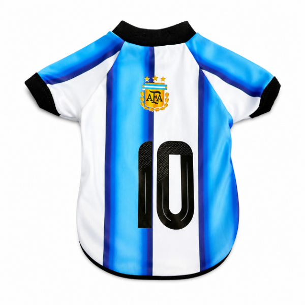 Producto - Camiseta Fútbol Argentina Con Manga