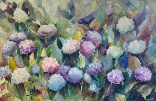Producto - Hortensias