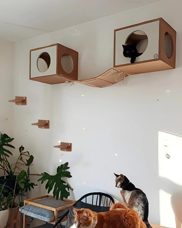 Producto - Modelo BORIS